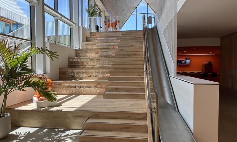 A long slide is an unexpected treat for visitors.