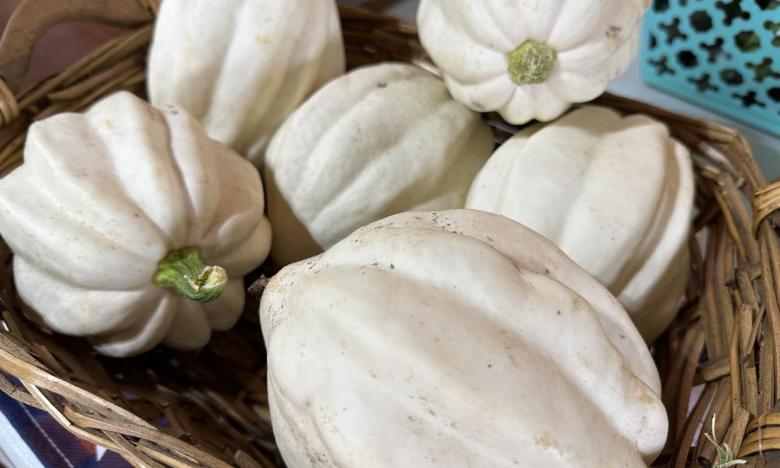 white acorn squash