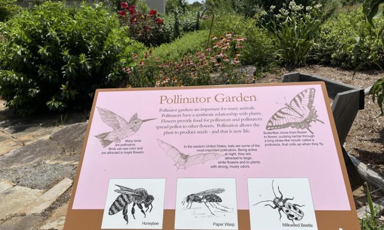 The Pollinator Garden at the Little Rock Audubon Center.