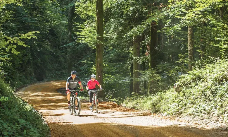 Hit the Helena Ridge Ride for a gravel grinder through the St. Francis National Forest to Delta Heritage Trail State Park along the "low road."