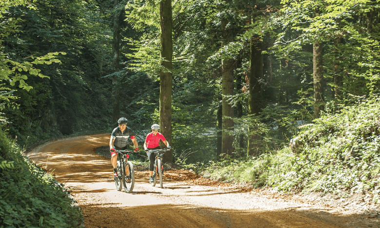 Hit the Helena Ridge Ride for a gravel grinder through the St. Francis National Forest to Delta Heritage Trail State Park along the "low road."