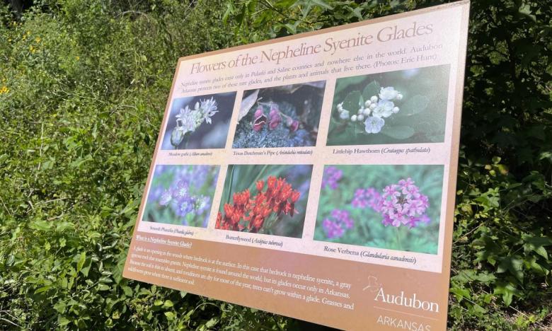 There are around 30-acres of nepheline syenite glade at the Little Rock Audubon Center in Little Rock.