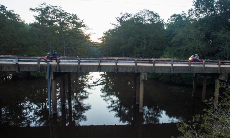 Bayou Bartholomew is one of the most diverse streams in North America.