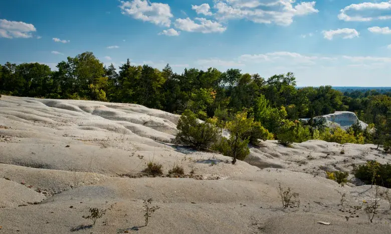 Atop the 100-foot-high namesake of the White Cliffs Natural Area.