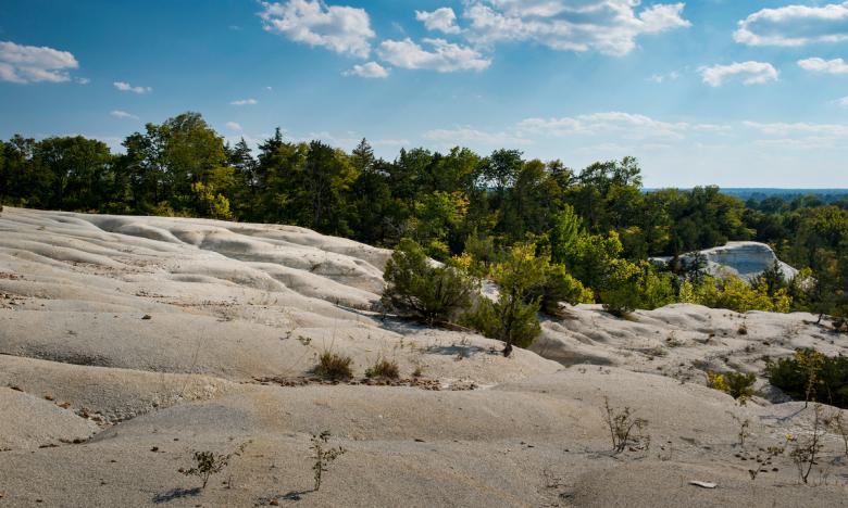 Atop the 100-foot-high namesake of the White Cliffs Natural Area.