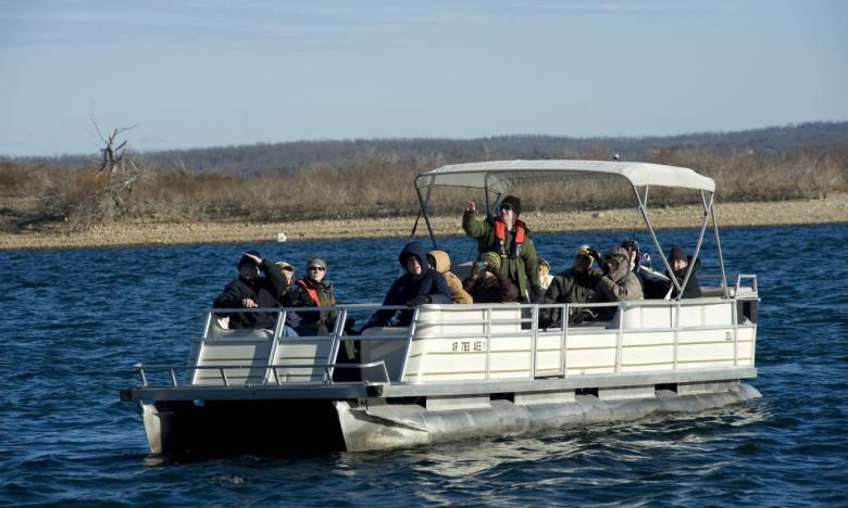 Boating tours are popular for eagle watching.