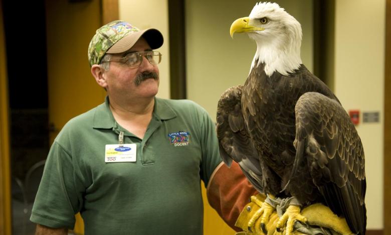 Several Arkansas State Parks offer eagle awareness programs.