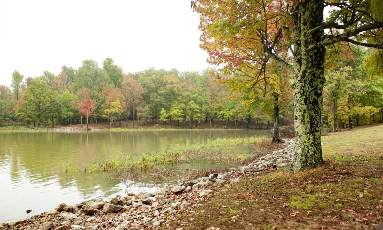 Lake Frierson State Park is a perfect place to enjoy the outdoors this January.