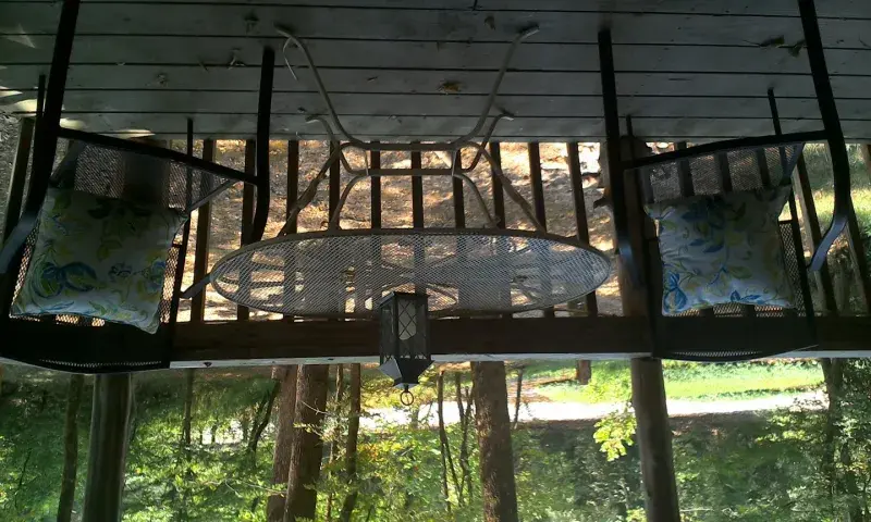 View from the deck