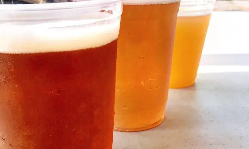 Beers at Flyway Brewing