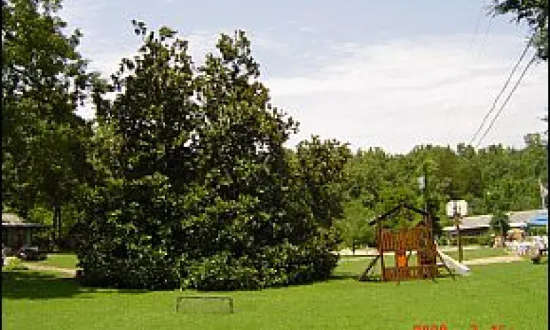 Blackburns Resort and Boat Rental in a big flat green valley close to Norfork Lake and Mountain Home