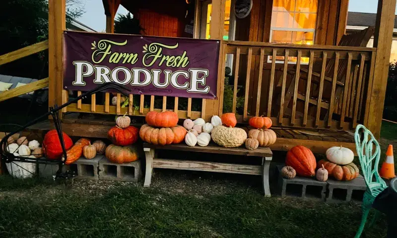 Seasonal produce for sale at the Farm Market!
