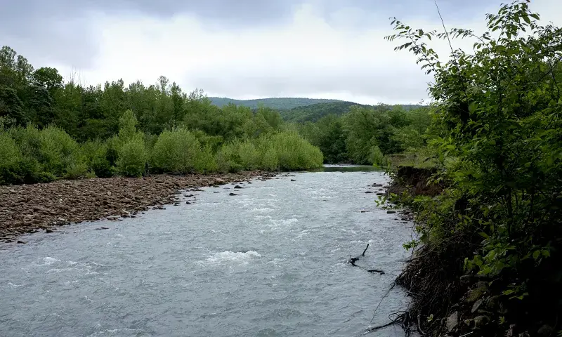 Mulberry River