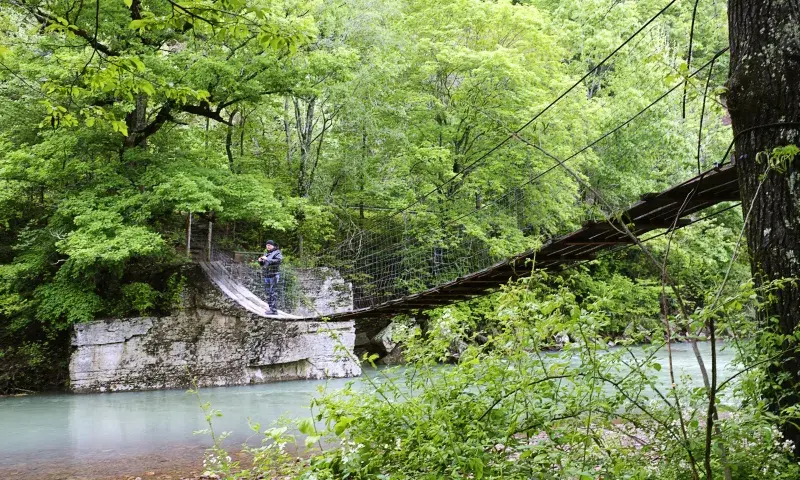 Mulberry River