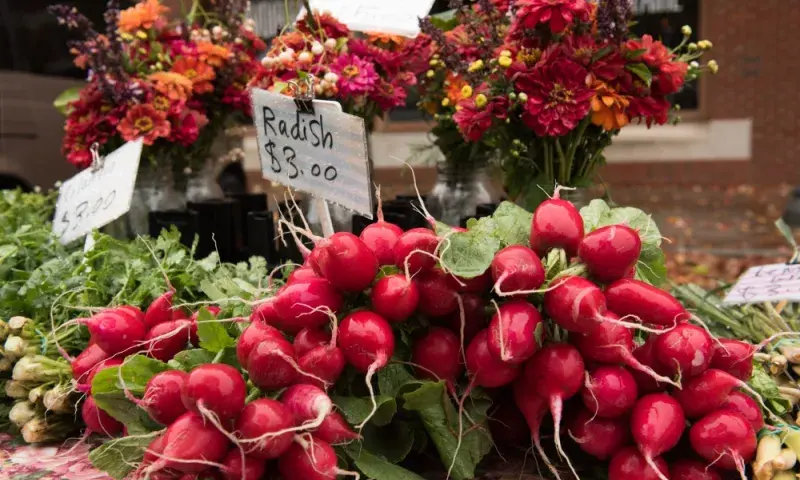 Fayetteville farmer's market