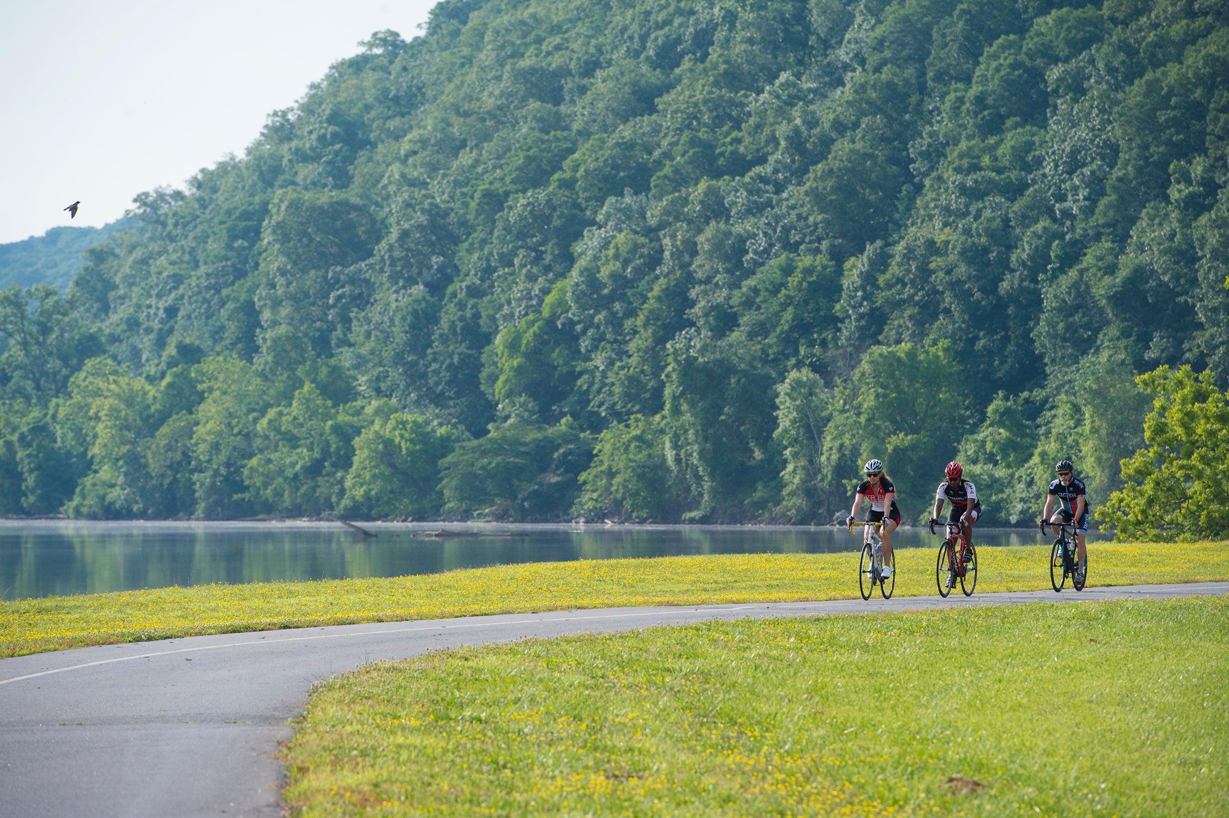 Free Things to Do in Central Arkansas