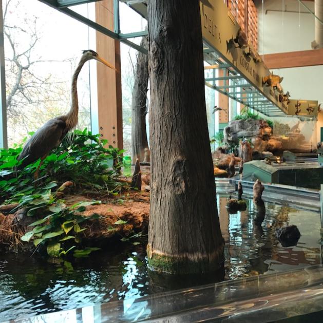 Nature Center in Little Rock