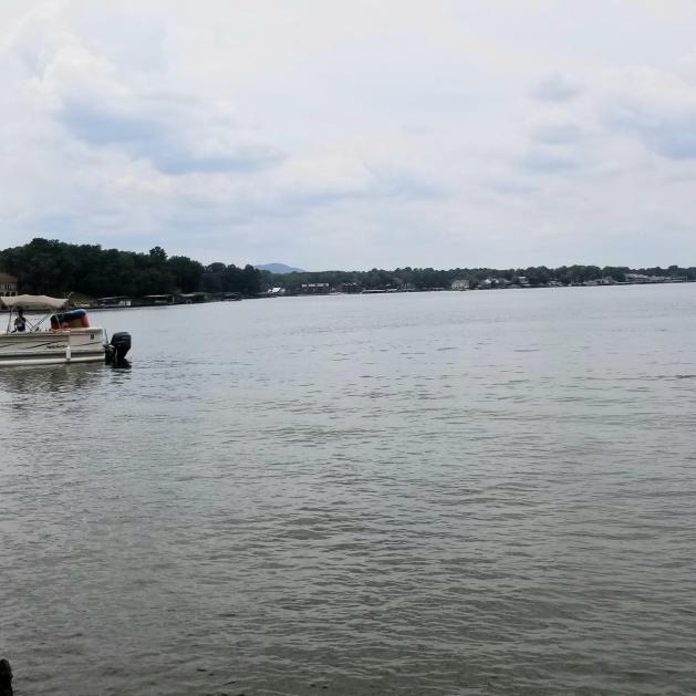 Lake Hamilton 