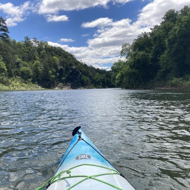 View of the Ouachita River 