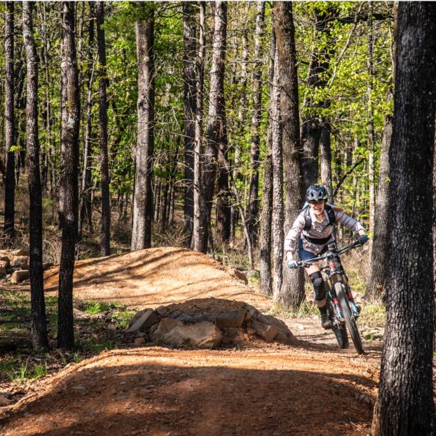 Monument Trails at Pinnacle Mountain State Park. 