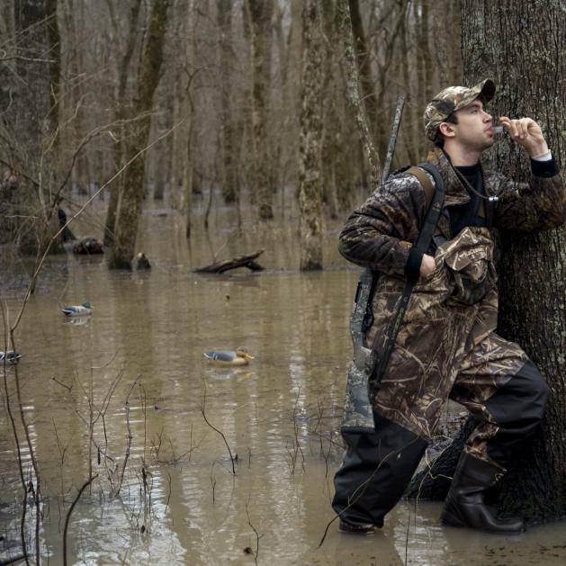 Duck hunting at the Bayou Meto Wildlife Management Area