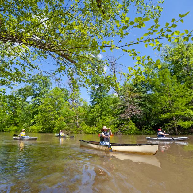 St. Francis Sunken Lands Water Trail