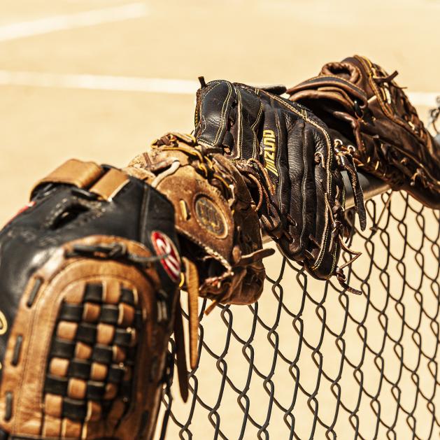 Baseball mitts lined along a fence