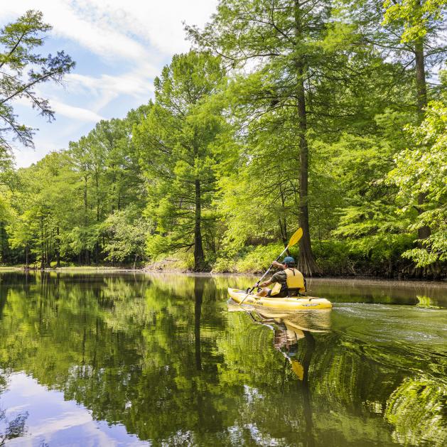 The Little Maumelle River Water Trail 
