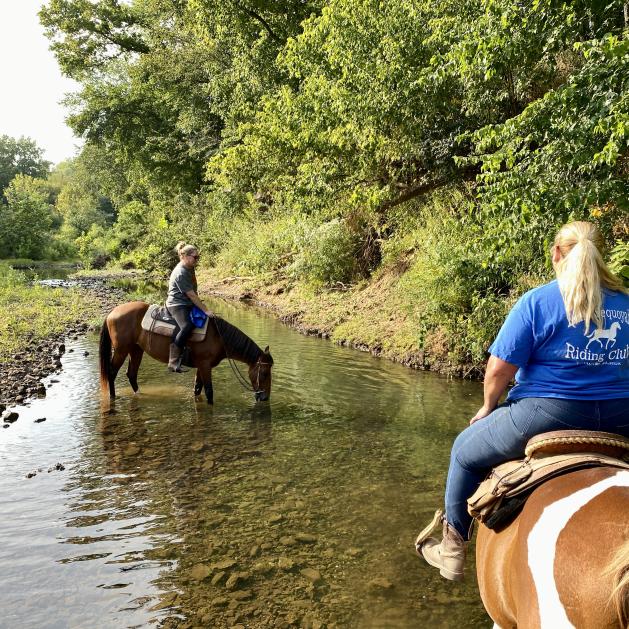 Guided trail rides at Flying Q Farms in Fayetteville, Arkansas
