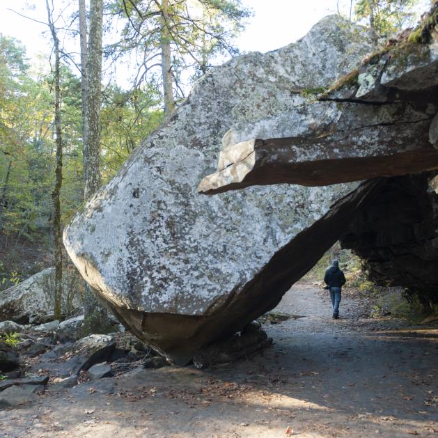 The Boy Scout Trail at Petit Jean State Park