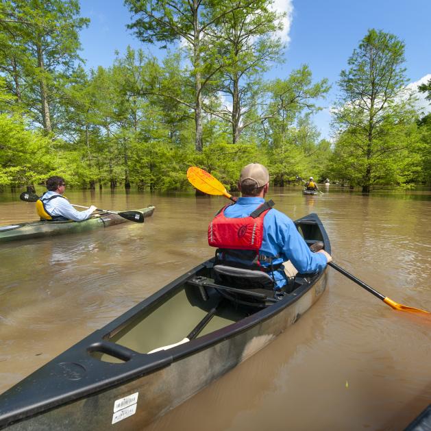 The St. Francis Sunken Lands Water Trail