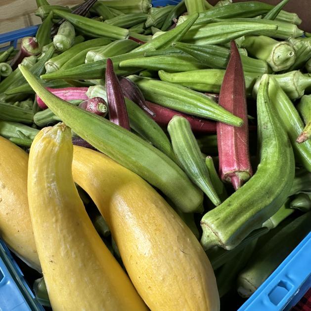 Vegetables from Drewry Farm & Orchards