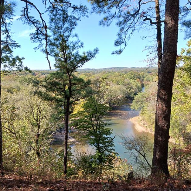 Goat's Beard Bluff Natural Area. Photo care of Arkansas Natural Heritage Commission.