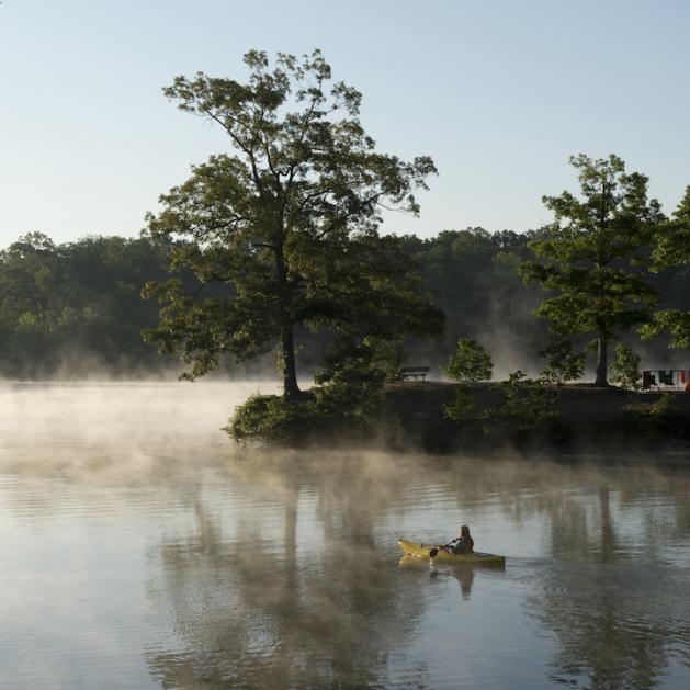 Enjoy various recreational activities at Mississippi River State Park