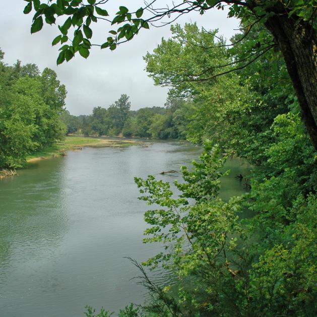 The Black River in Randolph County.