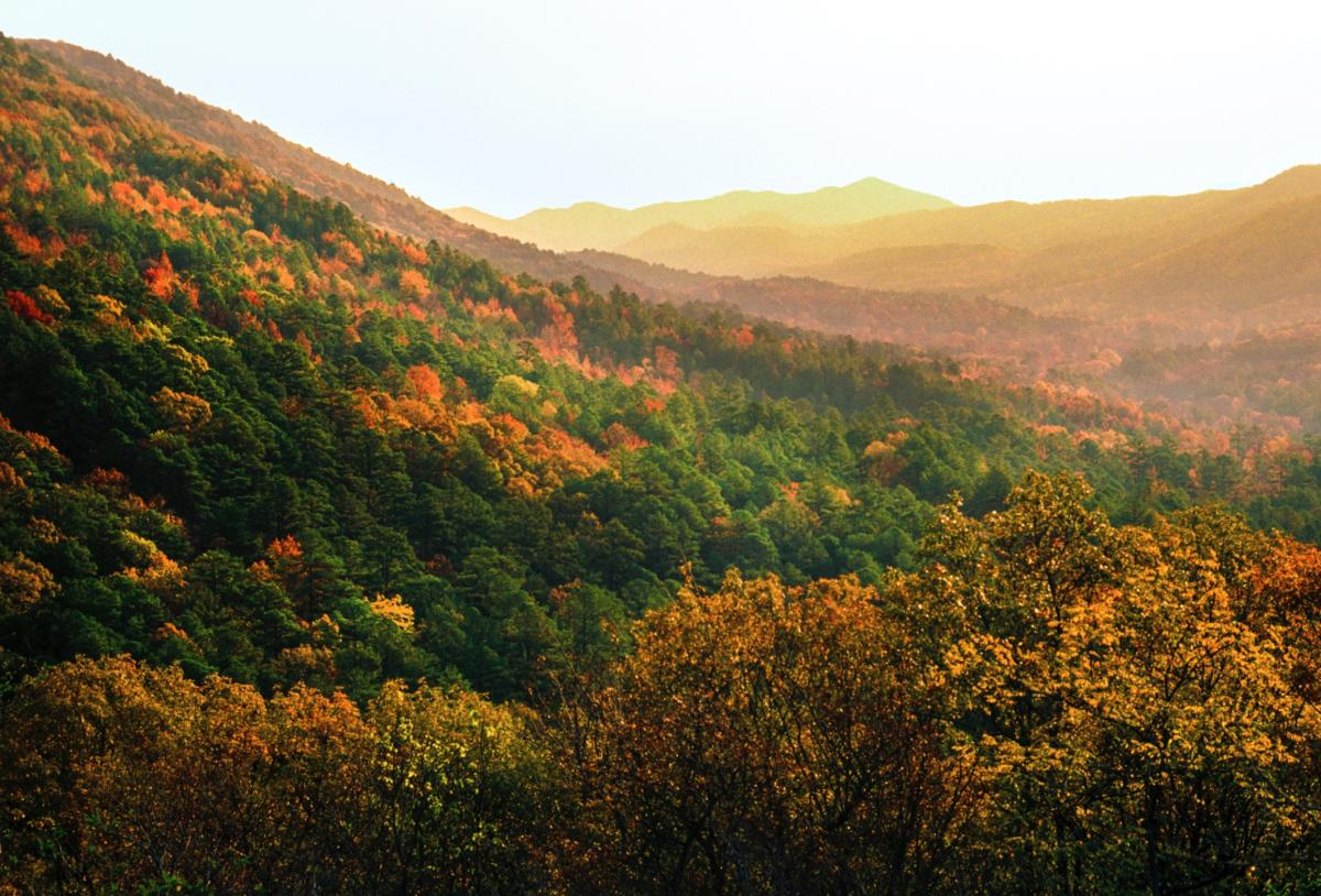 Fall outing to the Ouachita National Forest