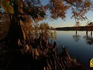 Lake Chicot State Park in Lake Village