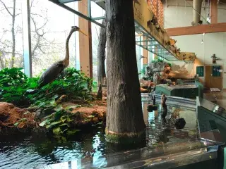 Nature Center in Little Rock