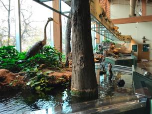 Nature Center in Little Rock