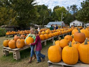 Pumpkin Hollow offers fun for all ages