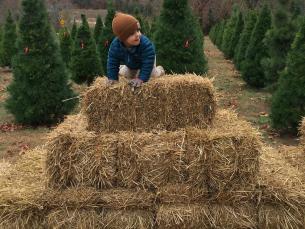 Johnson Family Christmas Tree Farm