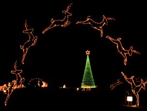 Enchanted Land of Lights and Legends in Pine Bluff