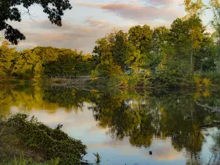 Mississippi River State Park - St. Francis National Forest