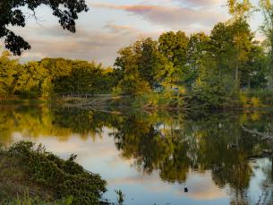 Mississippi River State Park - St. Francis National Forest