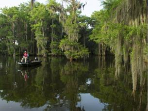 Lake Enterprise 