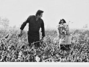 Johnny Cash and wife June Carter Cash in the fields near Cash's boyhood home in Dyess