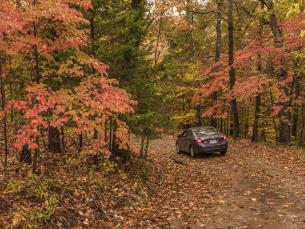 Fall color in Arkansas
