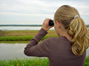 Birding in Arkansas 