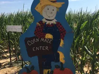 Peebles Farm and Corn Maze