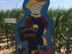 Peebles Farm and Corn Maze